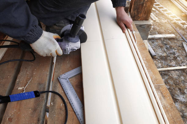 Best Fascia and Soffit Installation  in Irvine, KY